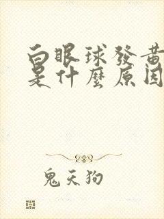 白眼球发黄发红是什么原因