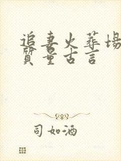 追妻火葬场的高质量古言