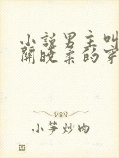 小说男主叫金峰关晓柔的穿越小说