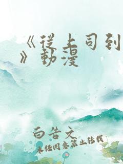 《从上司到妻子》动漫