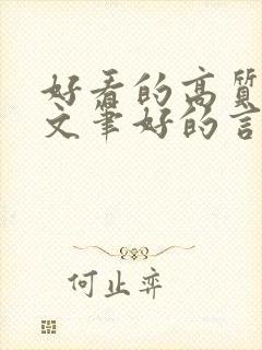 好看的高质量的文笔好的言情