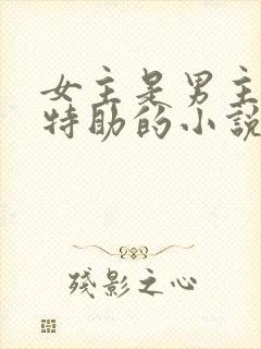 女主是男主首席特助的小说