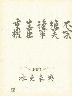 重生后绝不嫁给权臣宁芙宗肆的小说