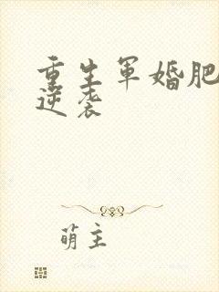 重生军婚肥妻的逆袭