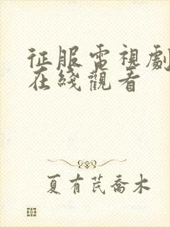 征服电视剧高清在线观看