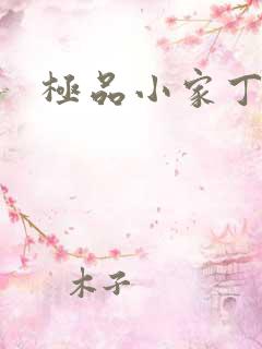 极品小家丁短剧