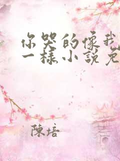 你哭的像我死了一样小说免费阅读
