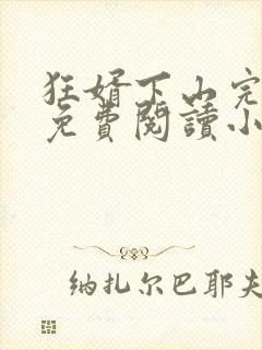 狂婿下山完整版免费阅读小说