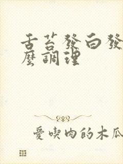 舌苔发白发黄怎么调理