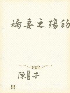 娇妻之殇的小说