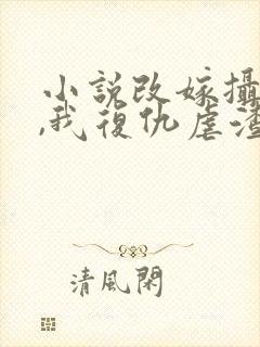 小说改嫁摄政王,我复仇虐渣妹萧怀在线阅