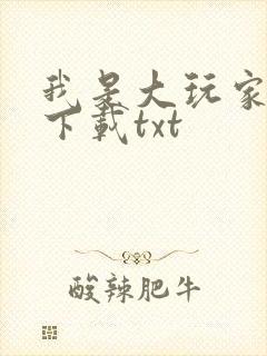 我是大玩家免费下载txt