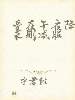 爱在午夜降临前未删减版