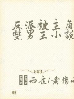 反派被主角受压双男主小说