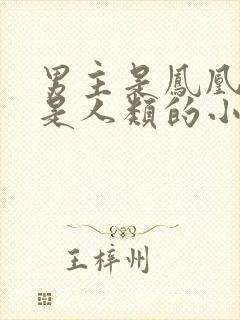 男主是凤凰女主是人类的小说