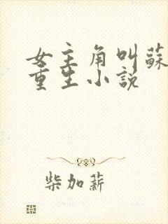 女主角叫苏禾的重生小说