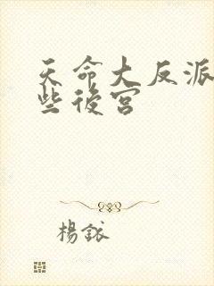 天命大反派有哪些后宫