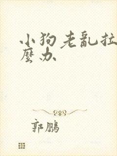 小狗老乱拉尿怎么办