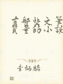 有哪些文笔好高质量的小说推荐