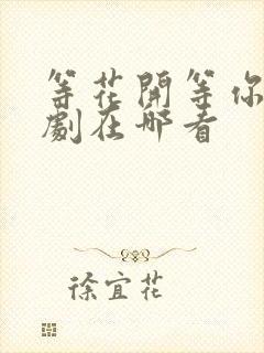 等花开等你归短剧在哪看