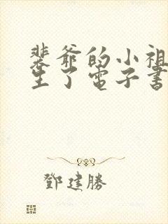 裴爷的小祖宗重生了电子书阅读