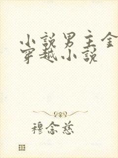 小说男主金峰的穿越小说