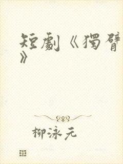 短剧《独臂刀侠》