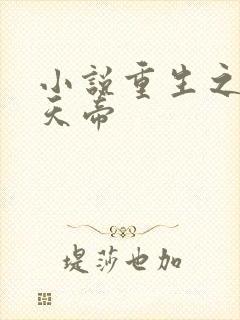 小说重生之无敌天帝