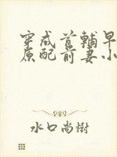 穿成首辅早逝的原配前妻小说