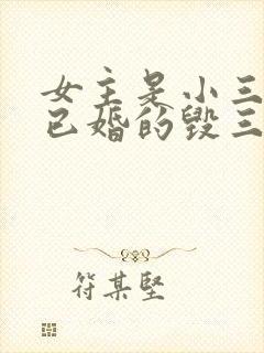 女主是小三男主已婚的毁三观小说