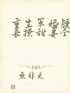 重生军婚腹黑首长撩甜妻全文阅读
