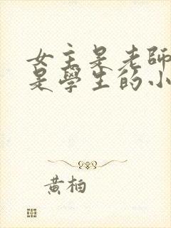 女主是老师男主是学生的小说