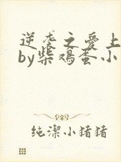 逆袭之爱上情敌by柴鸡蛋小说免费阅读