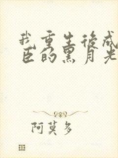 我重生后成了奸臣的黑月光