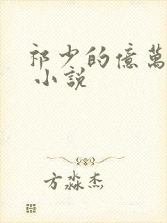 祁少的亿万宠妻 小说