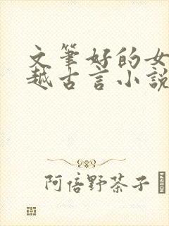 文笔好的女医穿越古言小说