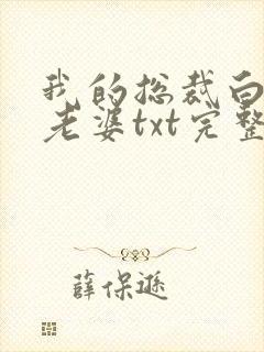 我的总裁白富美老婆txt完整无错版