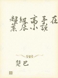 超级高手在都市叶辰小说