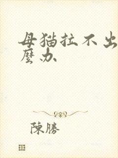 母猫拉不出尿怎么办