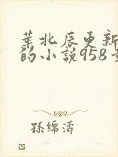 叶北辰更新最快的小说958章