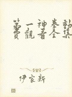 第一神拳动漫免费观看全集