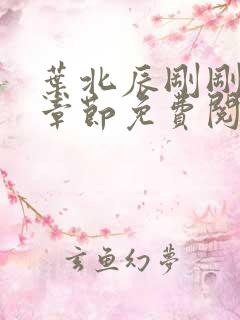 叶北辰刚刚更新章节免费阅读