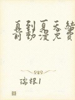 直到夏天结束之前动漫免费观看