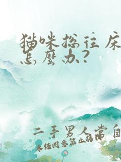 猫咪总往床上尿怎么办?