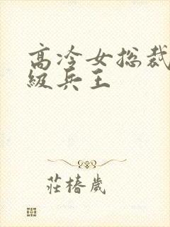 高冷女总裁的超级兵王