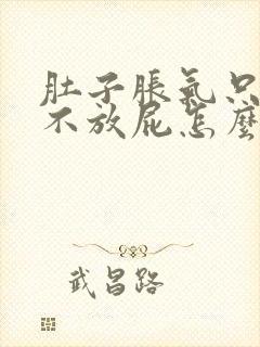 肚子胀气只打嗝不放屁怎么办