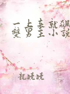 一上来就飙车的双男主小说