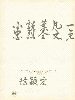 小说叶凡一门十忠烈全文免费