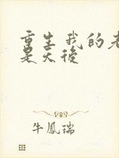 重生 我的老婆是天后