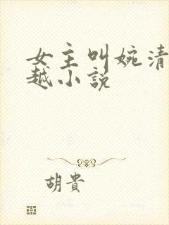 女主叫婉清的穿越小说